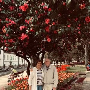 Meet your Posher, Ann